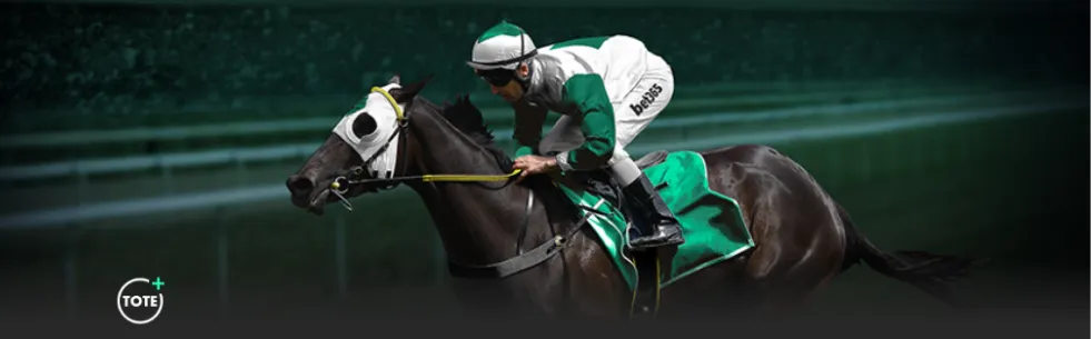 全球搜索热,美洲杯夺冠,奥运排名第,皇冠体育app下载,皇冠体育官网,澳门皇冠体育,bet皇冠体育在线